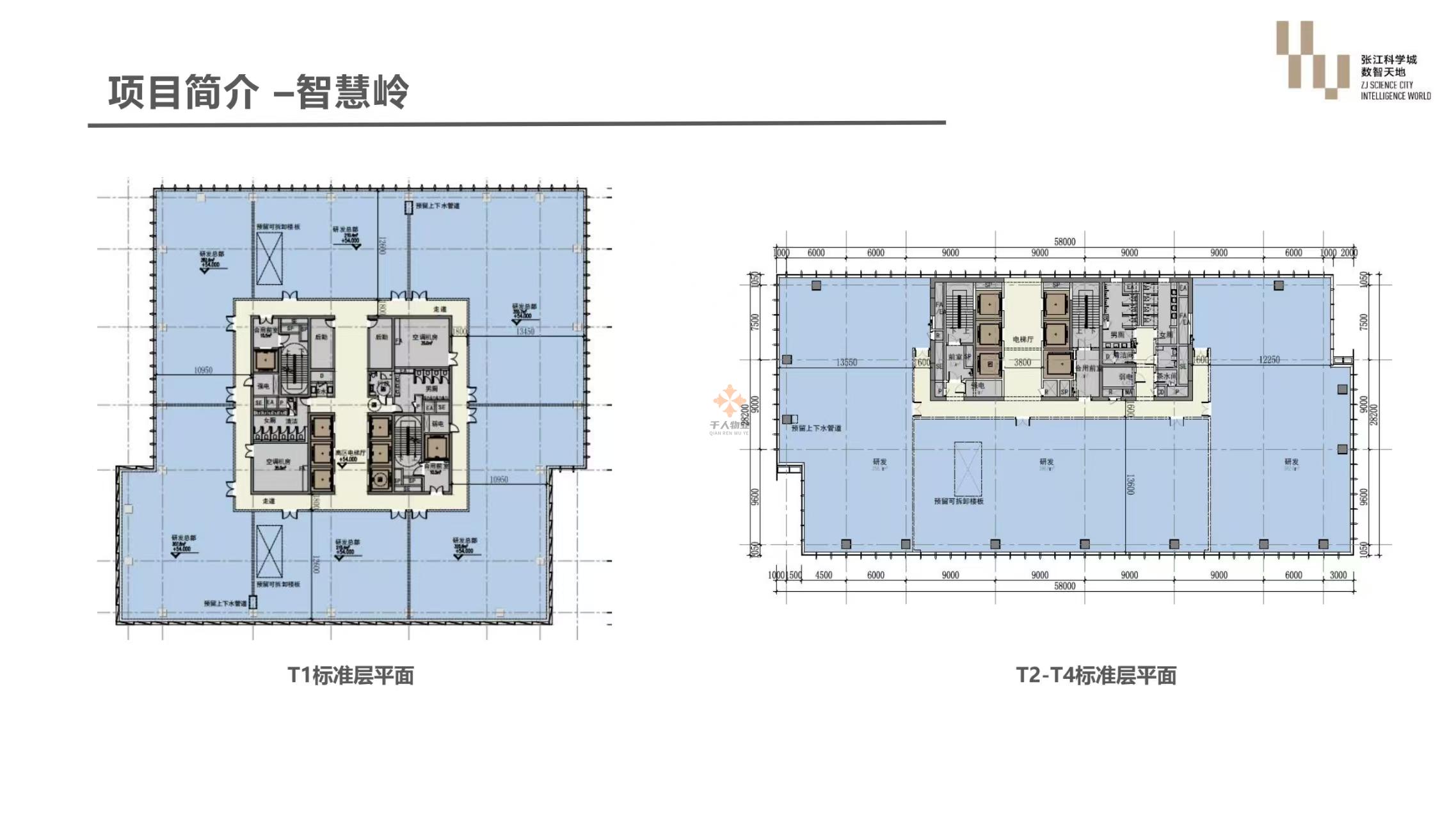 張江科學城數智天地·智慧嶺